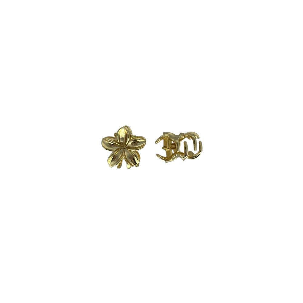 Mini Piranha Metálica Flower Kit com 2